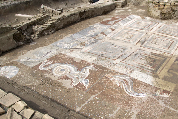 04_scavi_kaulon_mosaico-drago-delfino_a-lanterna